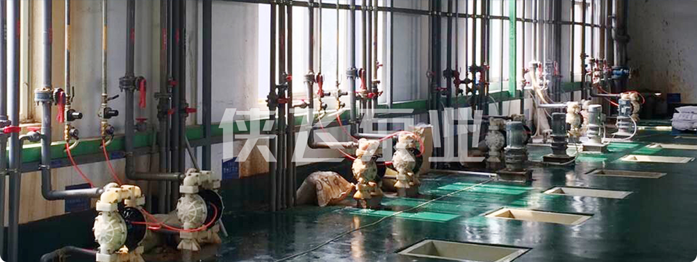 俠飛電動隔膜泵,進口隔膜泵廠家